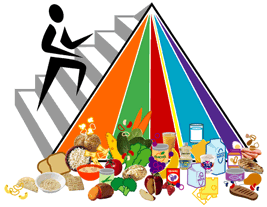 new food pyramid picture